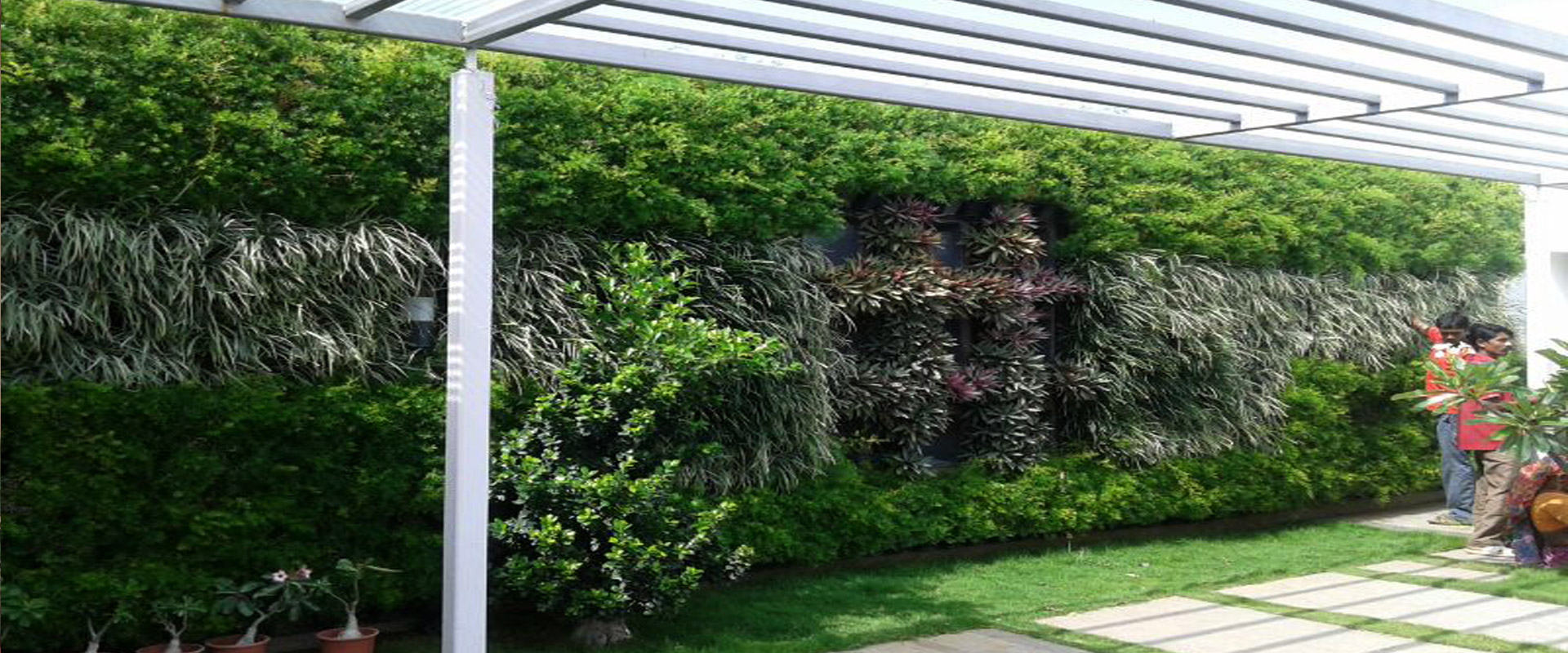 Green Wall Plants Nursery