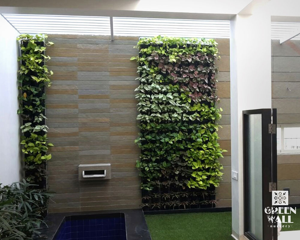 green wall plants indoor,green wall plants nursery,green wall plants outdoor,vertical gardening systems,Vertical nursery near me,Vertical Garden in Nashik,