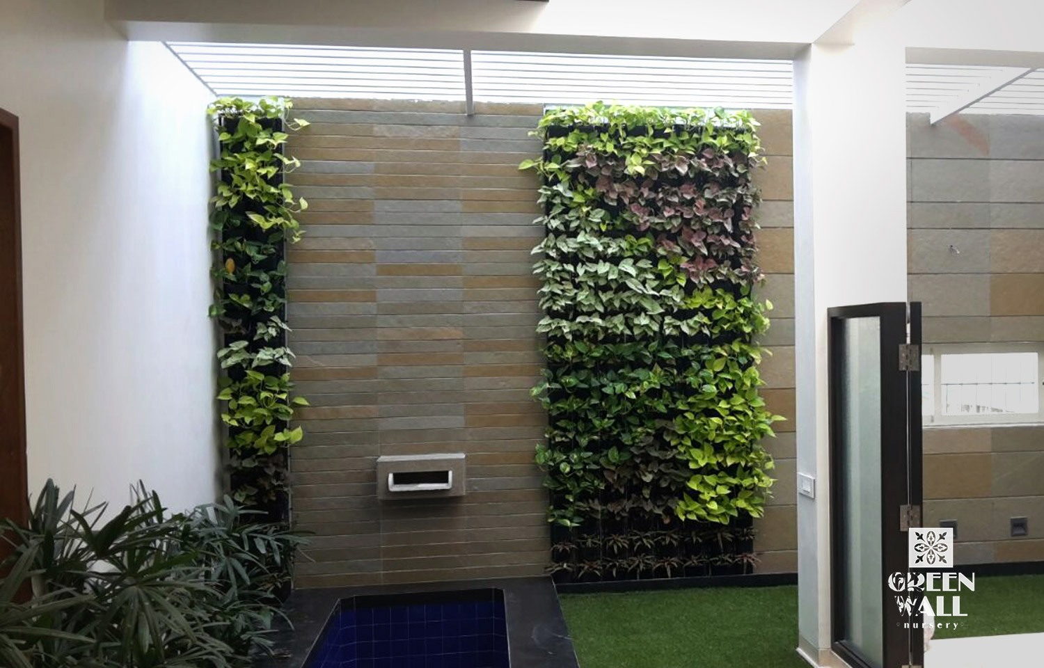 green wall plants indoor,
green wall plants nursery,green wall plants outdoor,vertical gardening systems,Vertical nursery near me,Vertical Garden in Nashik,,