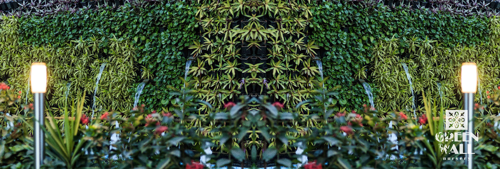 Green Wall Plants Nursery